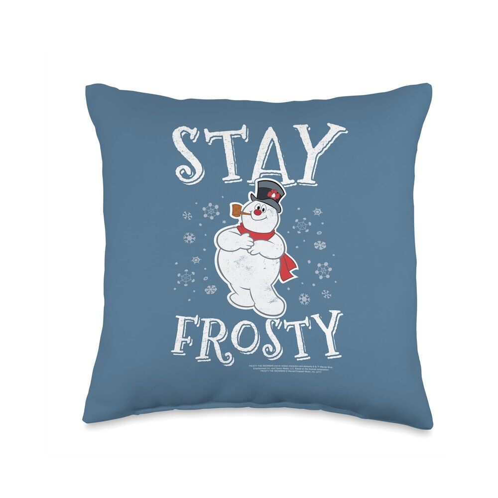 2116 Stay Frosty Throw Pillow, 16x16, Multicolor